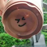 もこもこ　プロフィール必読！の画像