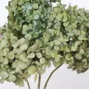 mmm ◡̈の画像