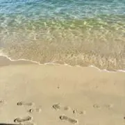 miiliの画像