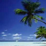 ☆yuu☆の画像