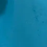 るらの画像