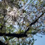 ❖あっきーの画像