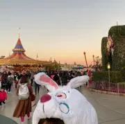 ペパガールの画像