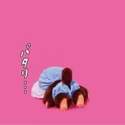 ぽんたの画像