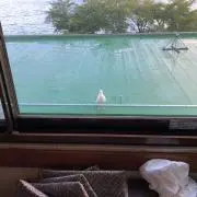 とうじの画像