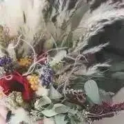 gajの画像