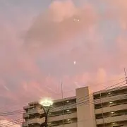 さんなすびの画像