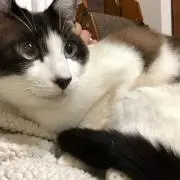 so！！！の画像