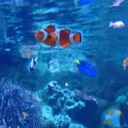 みーの画像