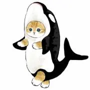 ゆうちょすの画像