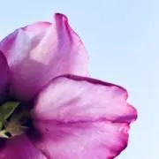 ☺️たま✨お得情報あり☺️の画像