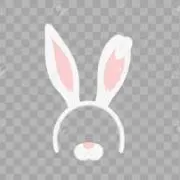 うさみみ