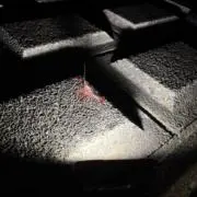 ちたの画像
