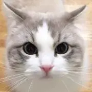Mikeの画像