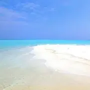 もりりん