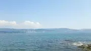 Daiの画像