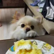 あーみんの画像