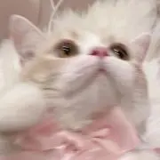 m♡の画像
