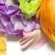 リーの画像