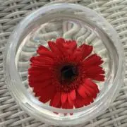ＩＴの画像