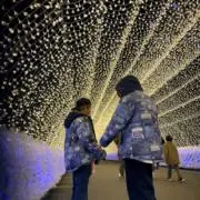 引っ越し作業中！の画像