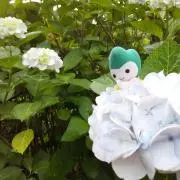 mの画像