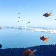 まーの画像