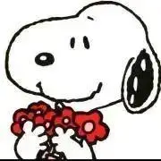 プロフ必読☆ピースヌの画像