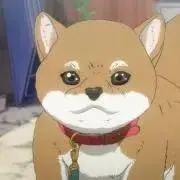 smileの画像