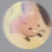 コアラの画像