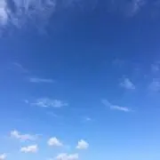 ミント☻プロフ確認お願いしますの画像