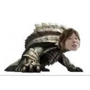 N