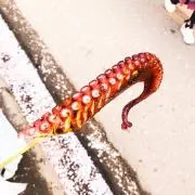 きりたんぽ｜即購入OK◎の画像