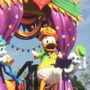 こんこんの画像