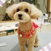 よっちゃん
