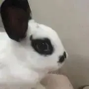 k.kの画像