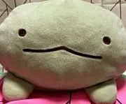 ノコノコ・キノコの画像