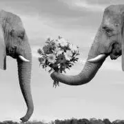 loveandpeace