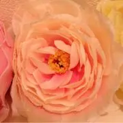 はな♡プロフ必読！