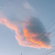 Duffyの画像