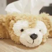 にゃんにゃんの画像