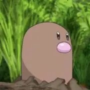ディグふなの画像