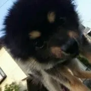 .ともちゃん