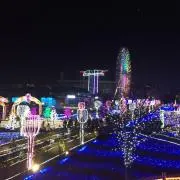 ak.mama22の画像