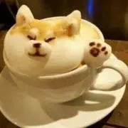 ネアンデルタールの画像