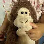 ゴリちゃんの画像