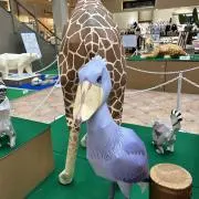 risaの画像