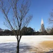 みいみの画像