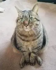 みけちゃんと呼んで下さい。