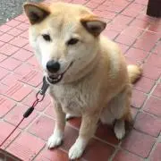 りょうちゃん